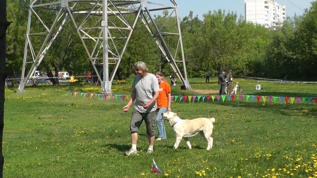 "Путёвка в жизнь". ОКД. смотреть онлайн