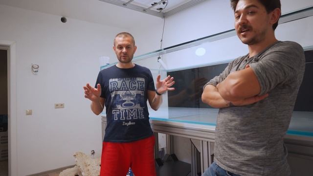 MegaTank/ Как сделать декорацию для морского аквариума @nikolasvr79 смотреть онлайн