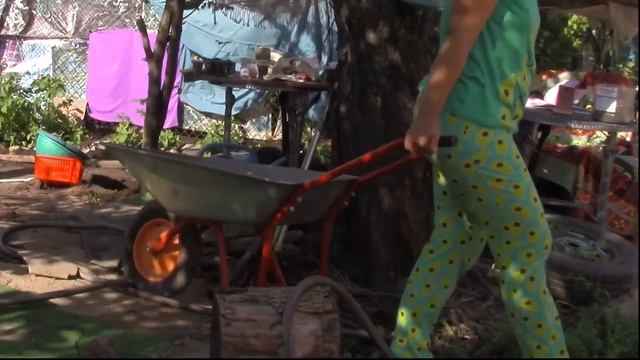 УРОЖАЙ. Что я делала весной и что получилось осенью смотреть онлайн