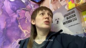 Обзор Alleva кошки. Холистик ли? Аллева жадина(