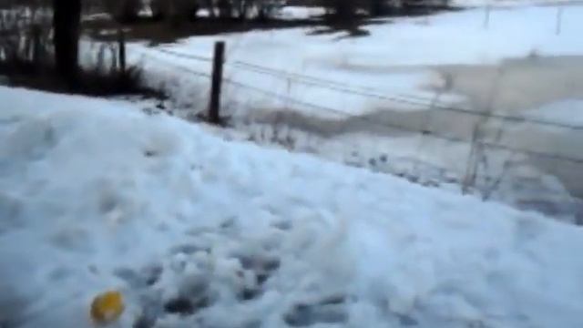 Adidas - Tango12 PARODIE смотреть онлайн