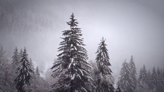 ПЕРЕД ВЫХОДОМ ИЗ ДОМА/ВСЕГДА ОСТАВЛЯЙТЕ ЭТО У ДВЕРИ /#обряды #обереги #заговоры смотреть онлайн