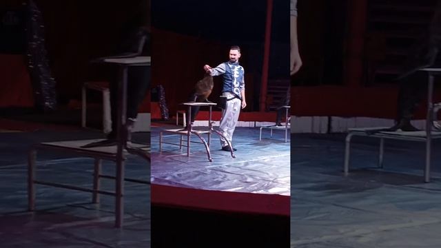 Цирк, в г.серпузове. смотреть онлайн