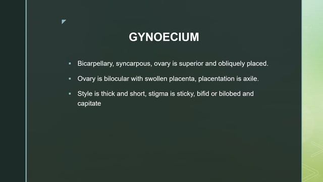 Solanaceae | Plant Families | Potato Family смотреть онлайн