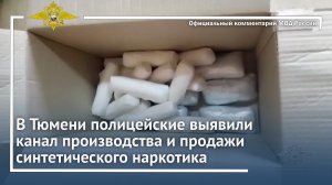 Ирина Волк: В Тюмени полицейские выявили канал производства и продажи синтетического наркотика
