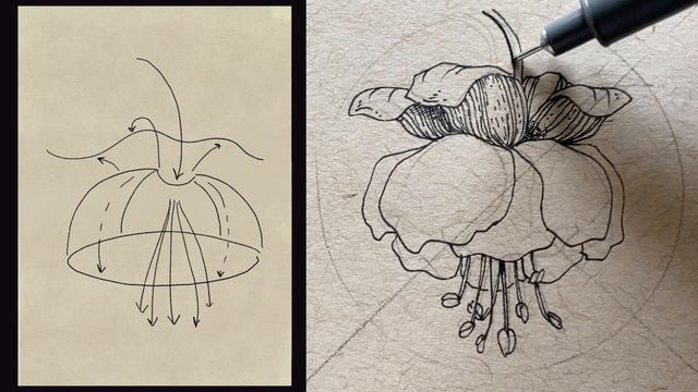 Draw with me #5 - 6 Easy Floral Doodles | "F" flowers | ink drawing on toned paper смотреть онлайн