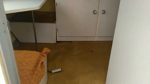 Niewiadów N126 зимний вариант