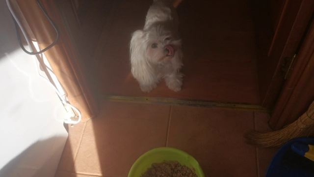 много еды страшно! смотреть онлайн