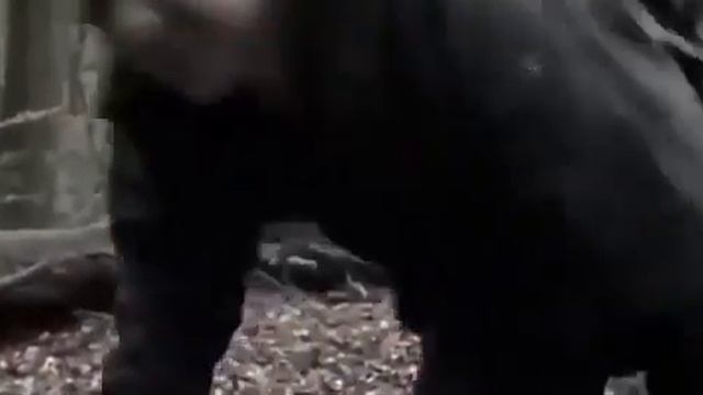 Filme suspense ação o estrangeiro dublado com Jackie chan смотреть онлайн