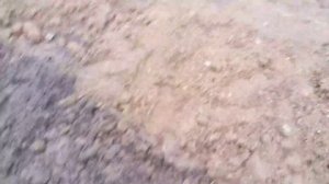 #Оканавливание участка #дренаж или как избавится от #воды на #участке #грунтовые воды