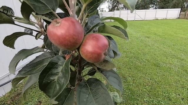 Итоги проведенных работ в отпуск! смотреть онлайн