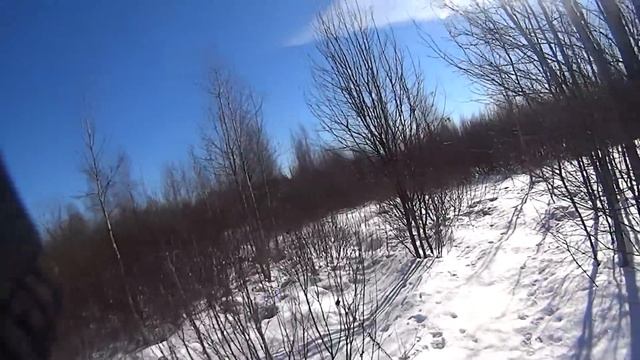 Охота с гончими на пушного зверя. Закрытие сезона охоты 2018-2019. 9-я лиса сезона смотреть онлайн