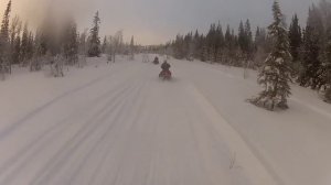 Lynx 49 Ranger 600 E-tec