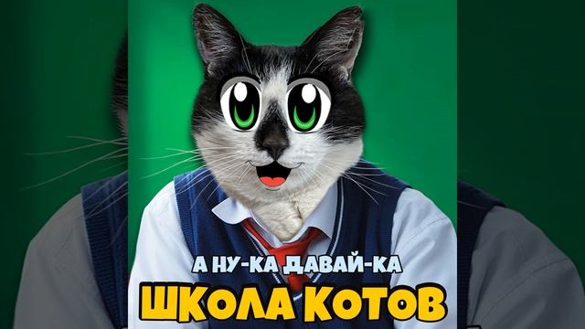 Школа котов