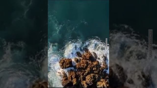 Мудрые мысли, цитаты о жизни и любви смотреть онлайн