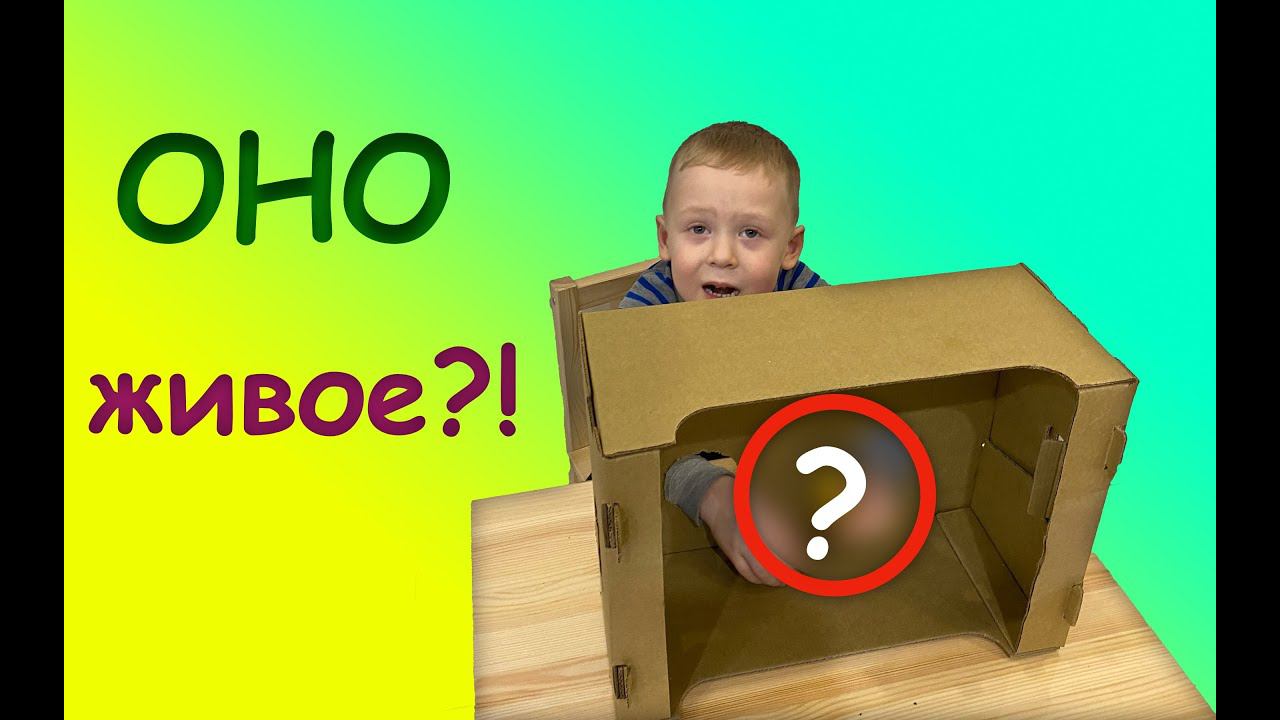 УГАДАЙ НА ОЩУПЬ что в коробке - челендж смотреть онлайн