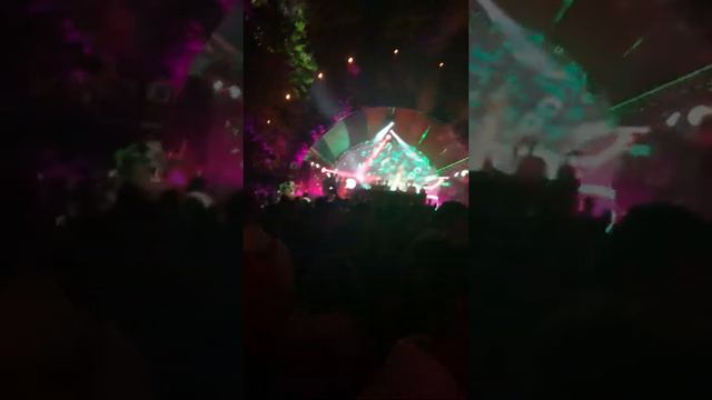 Guy Gerber playing What To Do live @Untold 2019 смотреть онлайн