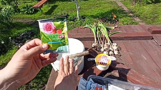 Фильмы и Сериалы