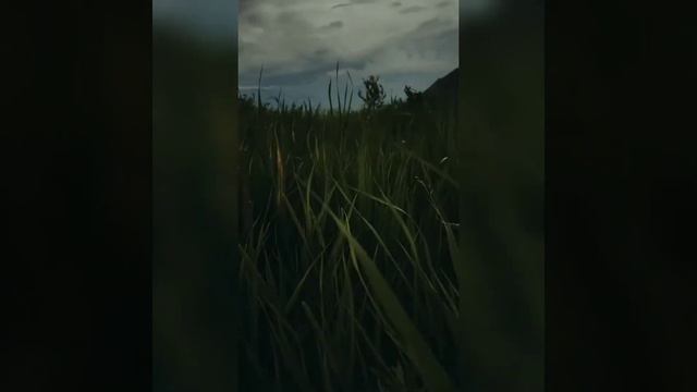 Притча за 3 минуты | О финансах смотреть онлайн