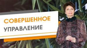 Совершенное управление | Елена Ачкасова