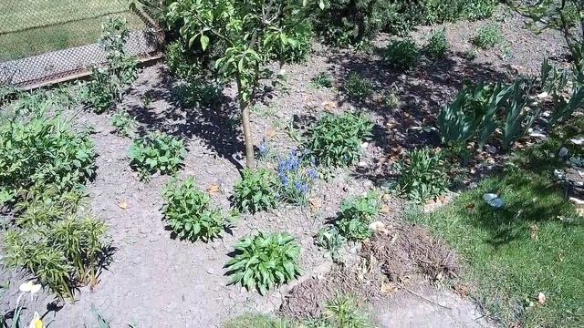 dacha may смотреть онлайн