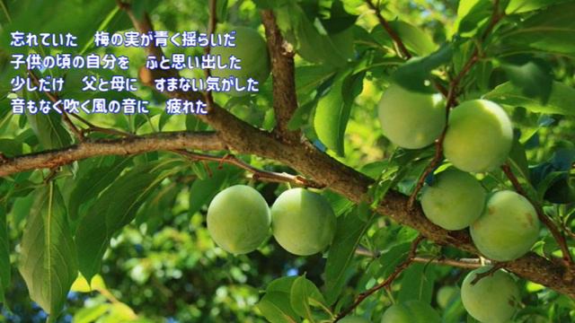 さだまさし 驟雨(しゅうう) смотреть онлайн