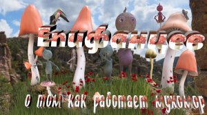 #Владимир #Епифанцев о том как работает #мухомор Vladimir #Epifantsev on how the fly agaric works