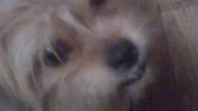 дружок -Тоша и сухарики )))) смотреть онлайн