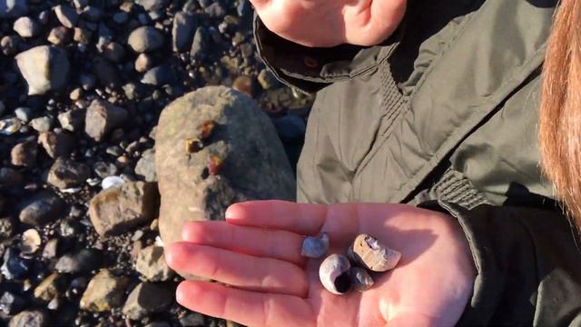 На побережье океана, Бостон смотреть онлайн