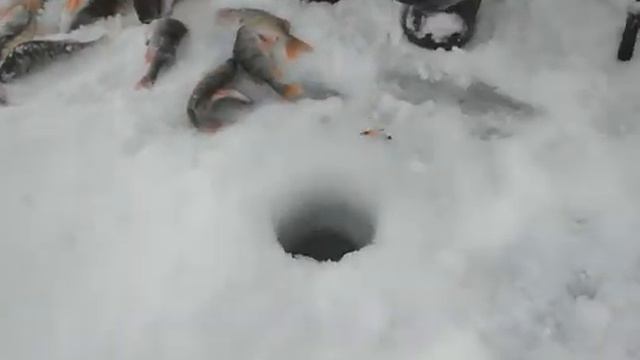 Зелёное смотреть онлайн