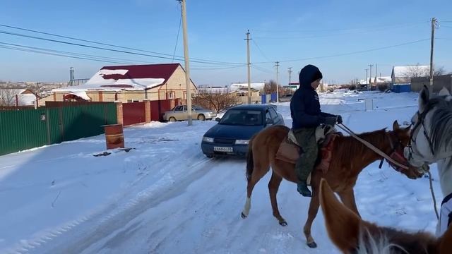 Объезд лошадей смотреть онлайн