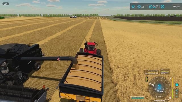 Harvesting 550.000 LITERS of CANOLA and WHEAT! | Animals Center #19 | Farming Simulator 22 смотреть онлайн