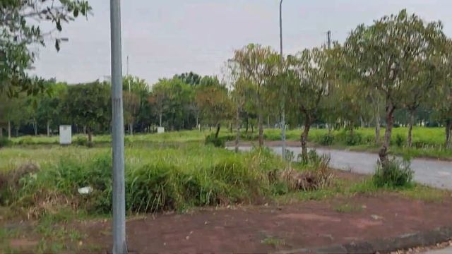 Clean Garden Natural Swimming Pools: Purity in Water смотреть онлайн