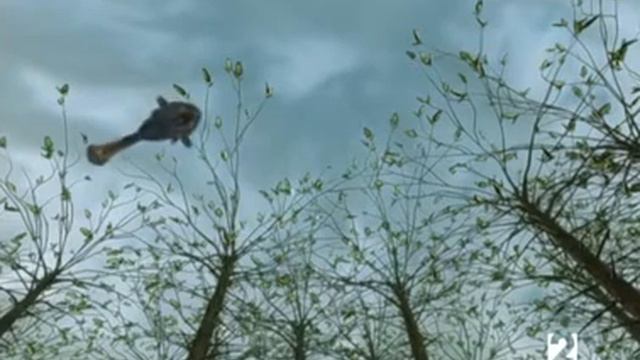 Documental Planeta Darwin IV  Completo