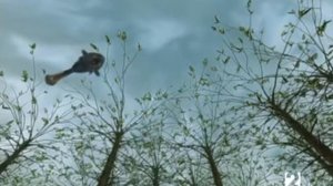 Documental Planeta Darwin IV  Completo