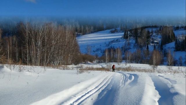 Салаир 2023 г. смотреть онлайн