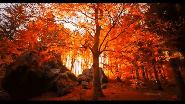 "Есенни цветя" (Autumn Leaves) смотреть онлайн