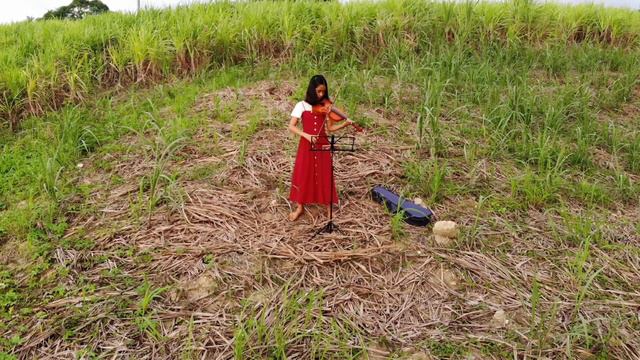 Lead Me Lord Violin Cover