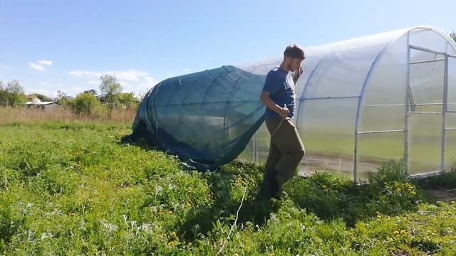 Как натянуть ЗАТЕНЯЮЩУЮ СЕТКУ на теплицу.