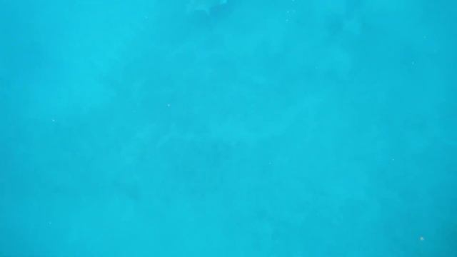 ЕГИПЕТ 10. Незабываемая встреча с ДЮГОНЕМ. Черепахи и рыбы-прилипалы в бухте МАРСА МУБАРАК. смотреть онлайн