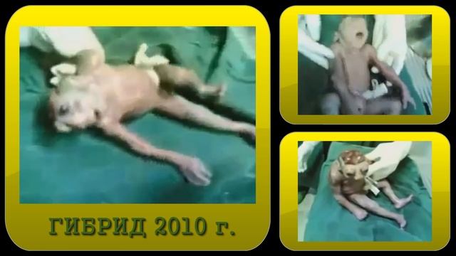 ГИБРИД ЧЕЛОВЕКА И ЖИВОТНОГО смотреть онлайн