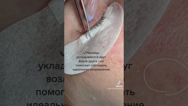 #наращиваниересницобучение #ресницы #ресницыобучение #лешмейкер #ресницымосква #лешмейкеробучение смотреть онлайн