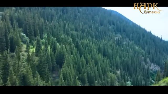 ЫЙМАНДЫН ДААМЫ,АМАЛ ТУУРАЛУУ/ УСТАЗ БАКТИЯР АЖЫ ШАРАПОВ смотреть онлайн