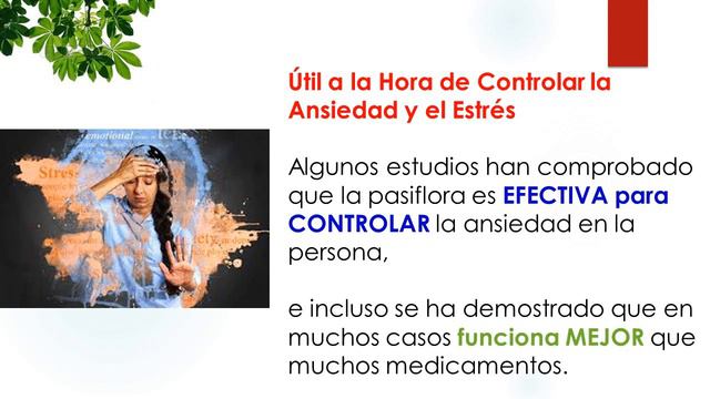 Beneficios y Propiedades de la Pasiflora (Flor de la Pasión) - Usos Medicinales смотреть онлайн