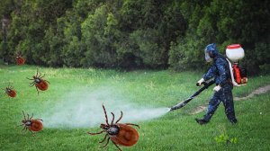 Обработка участка от клещей и комаров бензораспылителем