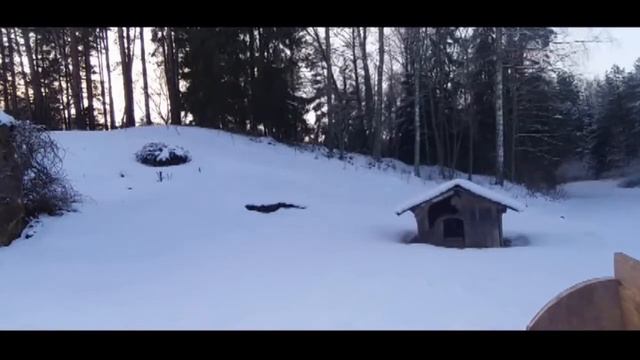Hatsan Strier Edge смотреть онлайн