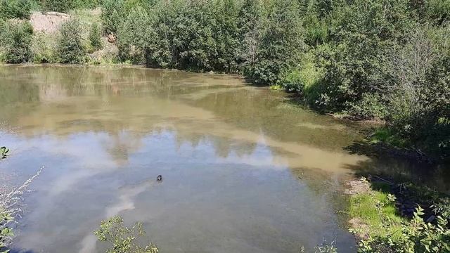 Доработал китайскую морду. Теперь осторожный ЛИНЬ не боится в нее заходить смотреть онлайн