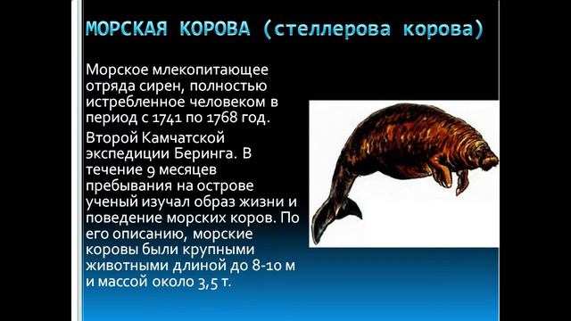 Животные, истребленные человеком смотреть онлайн