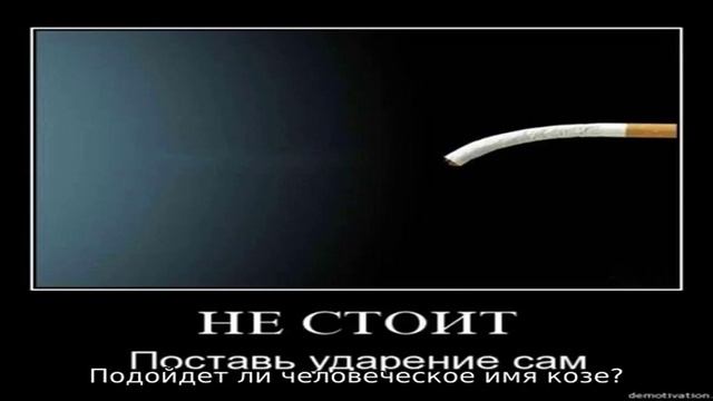 Клички для козы смотреть онлайн