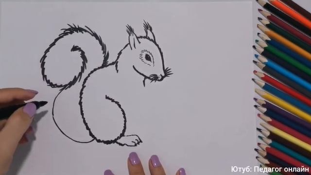 Как нарисовать БЕЛКУ. Пошагово. Урок рисования для детей и для начинающих. How to draw a squirrel смотреть онлайн